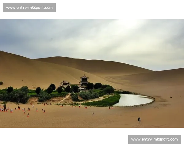 阳光沙海燃动青岛：世界沙排巡回赛演绎肌肉线条与海浪的交响